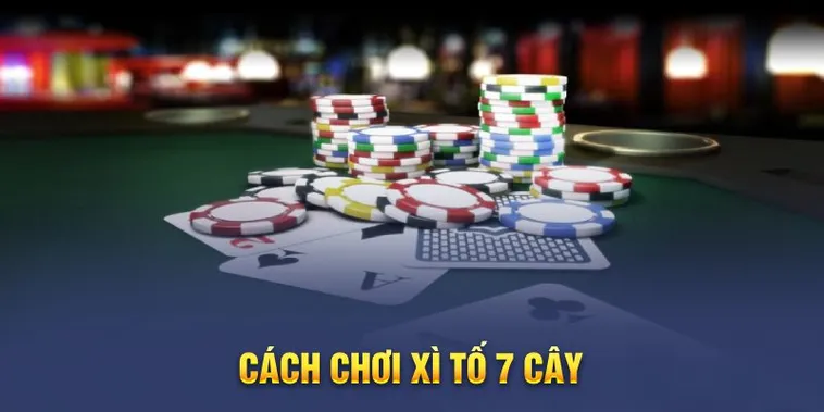 Trò Chơi Xì Tố Tại HitClub 2026 Với Luật Chơi, Cách Cược Và Chiến Thuật Hiệu Quả